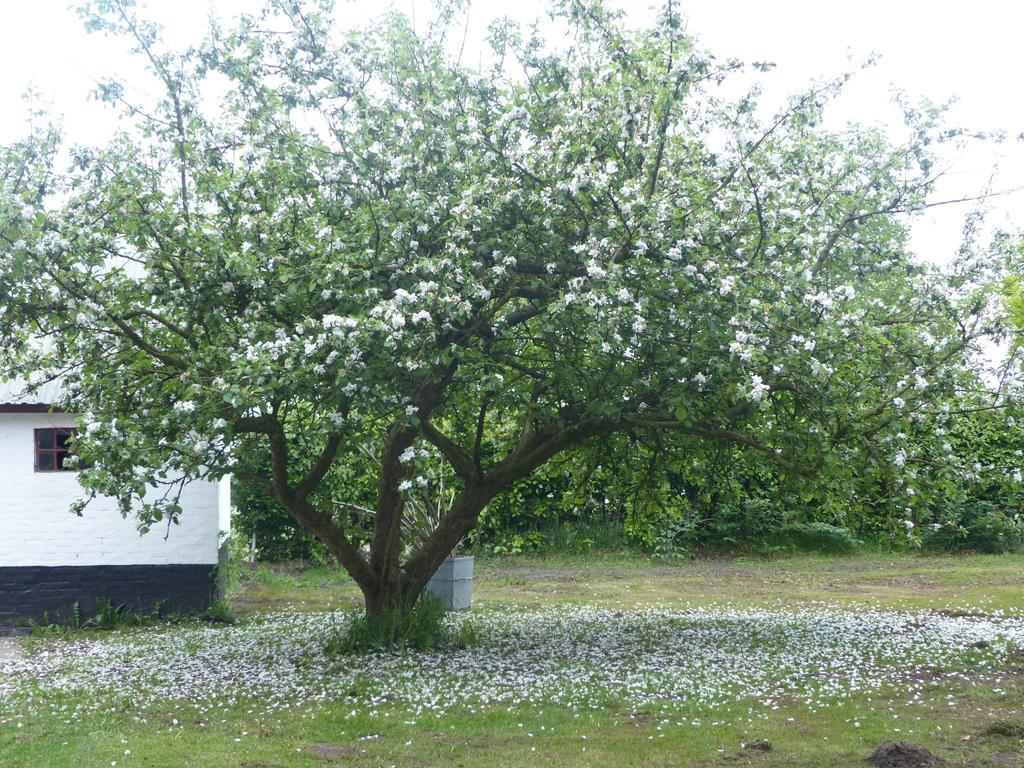Kristiansminde Farm Holiday Tistrup Kültér fotó